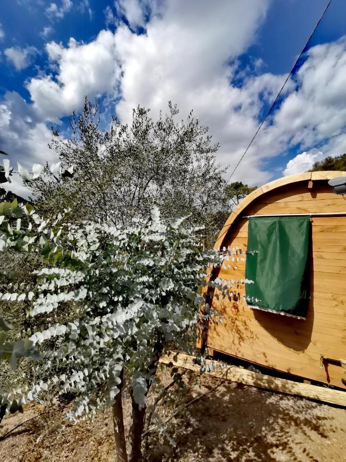 אפריקלה Tiny Cottage Casa Uccello מראה חיצוני תמונה