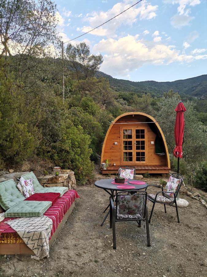 אפריקלה Tiny Cottage Casa Uccello מראה חיצוני תמונה